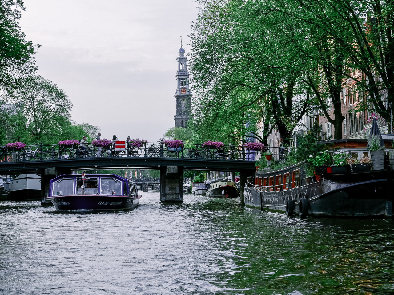 Cara Sharratt Travel - Amsterdam, Netherlands
