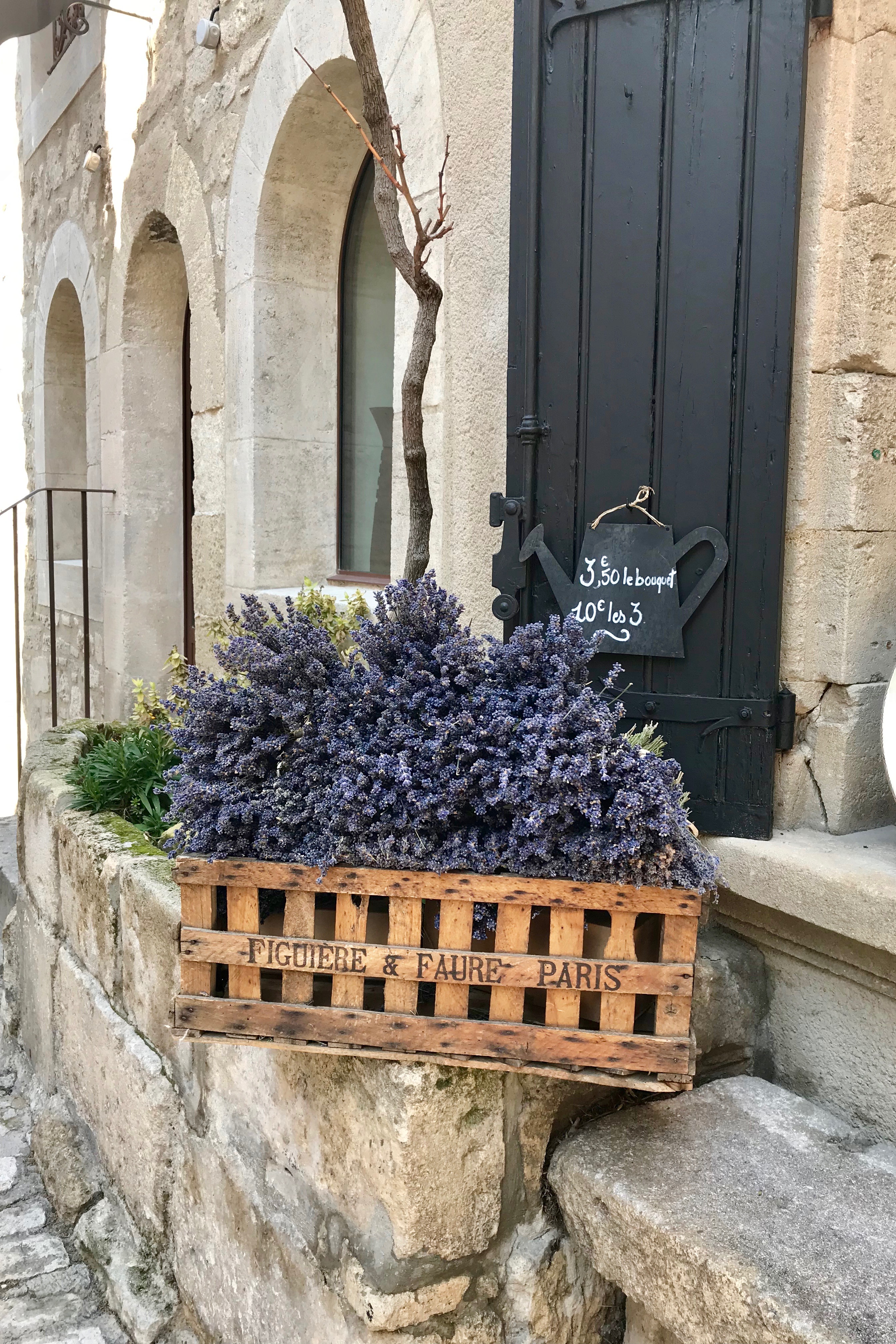 Cara Sharratt Travel - Lavender in Les Baux-de-Provence, France